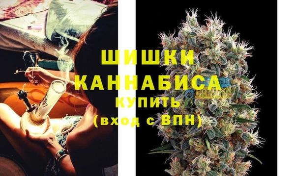 соль ск Гусев