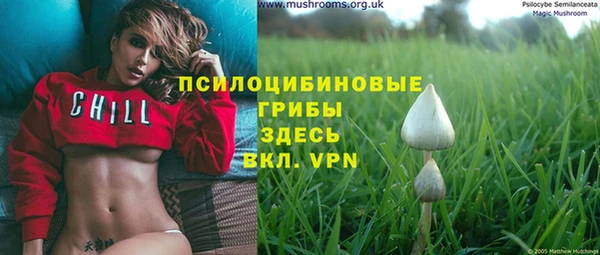 твердый Шадринск
